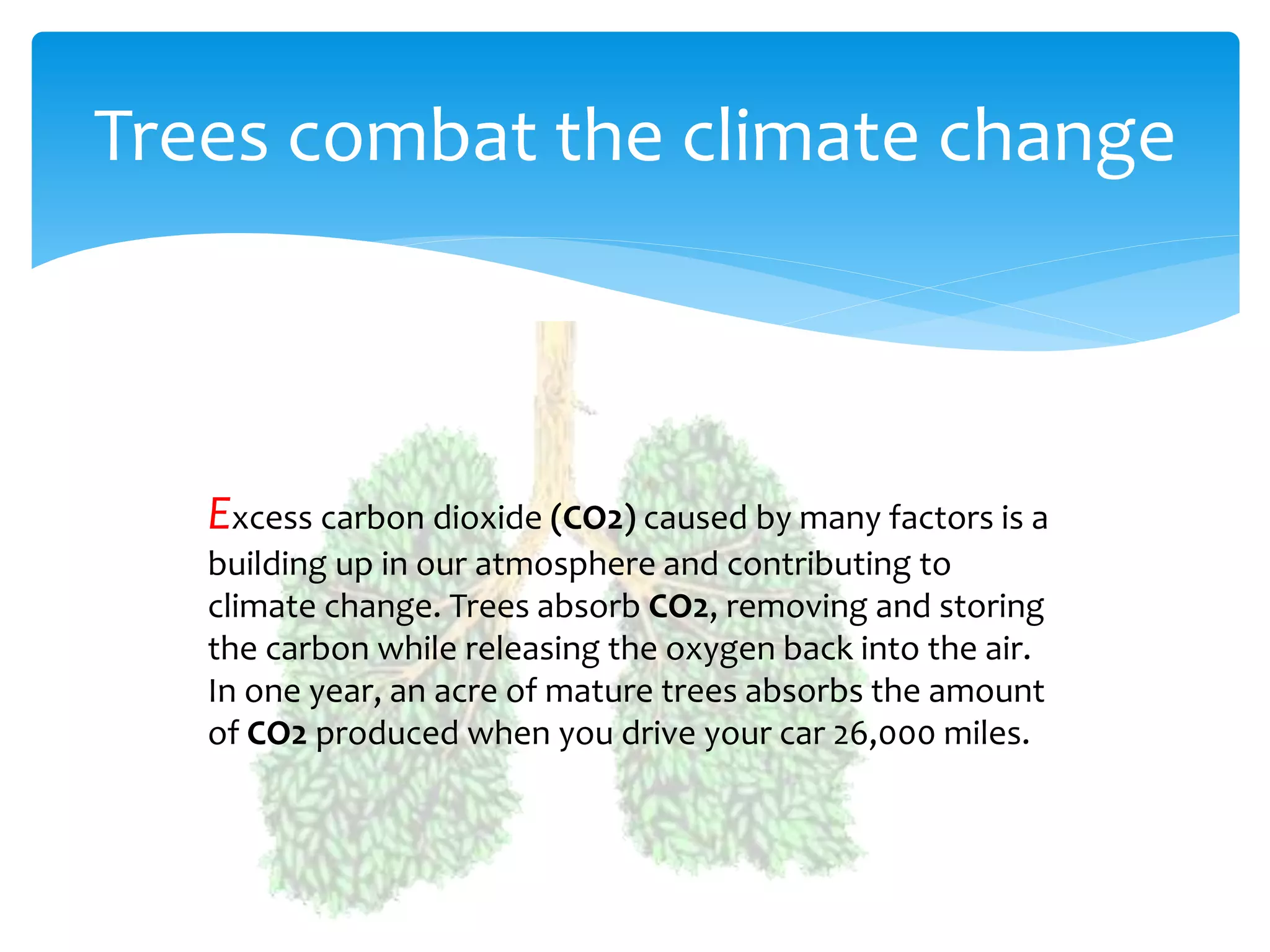 Trees combat the climate change
Excess carbon dioxide (CO2) caused by many factors is a
building up in our atmosphere and contributing to
climate change. Trees absorb CO2, removing and storing
the carbon while releasing the oxygen back into the air.
In one year, an acre of mature trees absorbs the amount
of CO2 produced when you drive your car 26,000 miles.