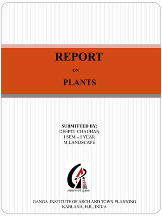 REPORT
ON
PLANTS
GANGA INSTITUTE OF ARCH AND TOWN PLANNING
KABLANA, H.R., INDIA
SUBMITTED BY:
DEEPTI CHAUHAN
I SEM – I YEAR
M.LANDSCAPE
 