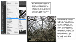 Once I had the image I wanted to
edit onto my document, I then
needed to change the size of the
image as it was too big to fit on the
document, so to change the size of
it, all I had to do was select ‘Edit’,
‘Transform’ and then ‘Scale’.
When changing the size of this
image I had to hold down the
‘Shift’ button on the keyboard at
the same time and this was
again to ensure that the image
wouldn’t be pixelated when I
make it smaller. In the image I
have presented on the left, you
are able to see that the image is
exactly the same as it was
previously – however, it is now
just smaller and fits on the
document.
 