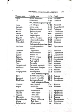 Trees shrubs and Ground covers.pdf