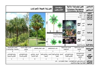 ‫العربي‬ ‫االسم‬‫خنيل‬‫أسرتالية‬ ‫ليفيستونا‬‫استخدامات‬
‫الالندسكيب‬‫خنيل‬‫زينة‬،‫حتويطة‬‫شوارع‬ ‫تشجري‬،.
‫الالتيين‬ ‫االسم‬Livistona Decipiens
(Livistona decora)
‫االرتفاع‬
‫قطر‬‫النبات‬
‫اجلذع‬ ‫قطر‬
‫منط‬‫النبات‬
‫الورق‬ ‫لون‬‫شكل‬
‫الورق‬
‫الزهرة‬ ‫لون‬‫شكل‬
‫الزهرة‬
‫الثمرة‬ ‫لون‬‫شكل‬
‫الثمرة‬
‫األوراق‬ ‫تساقط‬
‫ا‬‫ملعايري‬‫املناخية‬
‫والرتبة‬
√√√
‫ا‬‫ملعايري‬
‫اجليولوجية‬
‫ل‬‫لرتبة‬
√√√
‫النمو‬ ‫معدل‬
‫اإلزهار‬ ‫فرتة‬
 