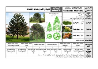 ‫العربي‬ ‫االسم‬‫شجرة‬‫أروكانية‬ ‫أروكاريا‬‫استخدامات‬
‫الالندسكيب‬‫واملنتزهات‬‫واحلدائق‬ ‫الشوارع‬‫يف‬‫للزينة‬.
‫الالتيين‬ ‫االسم‬Araucaria Araucana
‫االرتفاع‬
‫الشجرة‬ ‫قطر‬
‫اجلذع‬ ‫قطر‬
‫الشجرة‬ ‫منط‬
‫الورق‬ ‫لون‬‫الورق‬ ‫شكل‬
‫الزهرة‬ ‫لون‬‫الزهرة‬ ‫شكل‬
‫الثمرة‬ ‫لون‬‫الثمرة‬ ‫شكل‬
‫األوراق‬ ‫تساقط‬
‫ا‬‫ملعايري‬‫املناخية‬
‫وال‬‫رتبة‬
√√
‫ا‬‫ملعايري‬
‫اجليولوجية‬
‫ل‬‫لرتبة‬√√√√
‫النمو‬ ‫معدل‬
‫اإلزهار‬ ‫فرتة‬
 