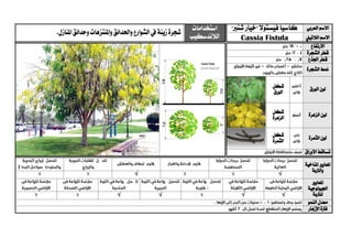 ‫العربي‬ ‫االسم‬"‫شنرب‬ ‫"خيار‬ ‫فيستوال‬ ‫كاسيا‬‫استخدامات‬
‫الالندسكيب‬‫زينة‬‫شجرة‬‫واملنتزهات‬‫واحلدائق‬‫الشوارع‬‫يف‬.‫املنازل‬‫وحدائق‬
‫الالتيين‬ ‫االسم‬Cassia Fistula
‫االرتفاع‬
‫الشجرة‬ ‫قطر‬
‫اجلذع‬ ‫قطر‬
‫الشجرة‬ ‫منط‬
‫الورق‬ ‫لون‬‫شكل‬
‫الورق‬
‫الزهرة‬ ‫لون‬‫شكل‬
‫الزهرة‬
‫الثمرة‬ ‫لون‬‫شكل‬
‫الثمرة‬
‫األوراق‬ ‫تساقط‬
‫ا‬‫ملعايري‬‫املناخية‬
‫والرتبة‬
√√
‫ا‬‫ملعايري‬
‫اجليولوجية‬
‫ل‬‫لرتبة‬√√√√
‫النمو‬ ‫معدل‬
‫اإلزهار‬ ‫فرتة‬
 