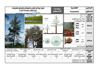 ‫العربي‬ ‫االسم‬‫الكاز‬‫وارينا‬‫استخدامات‬
‫الالندسكيب‬
‫زينة‬‫شجرة‬‫والطرقات‬‫الشوارع‬‫يف‬‫واملنتزهات‬ ‫واحلدائق‬،
.‫الرياح‬‫ومصدات‬‫شجري‬‫سياج‬ ‫الالتيين‬ ‫االسم‬Casuarina
‫االرتفاع‬
‫الشجرة‬ ‫قطر‬
‫اجلذع‬ ‫قطر‬
‫الشجرة‬ ‫منط‬
‫الورق‬ ‫لون‬
‫شكل‬
‫األوراق‬
)‫(إبرية‬
‫الزهرة‬ ‫لون‬
‫شكل‬
‫الزهرة‬
‫الثمرة‬ ‫لون‬
‫شكل‬
‫الثمرة‬
‫األوراق‬ ‫تساقط‬
‫ا‬‫ملعايري‬‫املناخية‬
‫والرتبة‬√√√
‫ا‬‫ملعايري‬
‫اجليولوجية‬
‫ل‬‫لرتبة‬√√√√√
‫النمو‬ ‫معدل‬
‫اإل‬ ‫فرتة‬‫زهار‬
 
