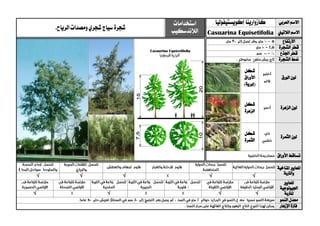 ‫العربي‬ ‫االسم‬‫كازوارينا‬‫إكويستيفوليا‬‫استخدامات‬
‫الالندسكيب‬‫شجرة‬.‫الرياح‬‫ومصدات‬‫شجري‬‫سياج‬
‫الالتيين‬ ‫االسم‬Casuarina Equisetifolia
‫االرتفاع‬
‫الشجرة‬ ‫قطر‬
‫اجلذع‬ ‫قطر‬
‫الشجرة‬ ‫منط‬
‫الورق‬ ‫لون‬
‫شكل‬
‫األوراق‬
)‫(إبرية‬
‫الزهرة‬ ‫لون‬
‫شكل‬
‫الزهرة‬
‫الثمرة‬ ‫لون‬
‫شكل‬
‫الثمرة‬
‫األوراق‬ ‫تساقط‬
‫ا‬‫ملعايري‬‫املناخية‬
‫و‬‫الرتبة‬√√√√√
‫ا‬‫ملعايري‬
‫اجليولوجية‬
‫ل‬‫لرتبة‬√√√√
‫النمو‬ ‫معدل‬
‫اإلزهار‬ ‫فرتة‬
 