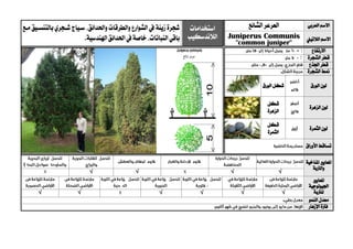 ‫العربي‬ ‫االسم‬‫العرعر‬‫الشائ‬‫استخدامات‬
‫الالندسكيب‬
‫زينة‬ ‫شجرة‬‫واحلدائق‬ ‫والطرقات‬ ‫الشوارع‬ ‫يف‬‫ب‬ ‫شيجري‬ ‫سيياج‬ ،‫مي‬ ‫التنسييق‬
‫النباتات‬‫باقي‬،‫احلدائق‬‫يف‬‫خاصة‬‫اهلندسية‬. ‫الالتيين‬ ‫االسم‬Juniperus Communis
"common juniper"
‫االرتفاع‬
‫الشجرة‬ ‫قطر‬
‫اجلذع‬ ‫قطر‬
‫الشجرة‬ ‫منط‬
‫الورق‬ ‫لون‬‫الورق‬ ‫شكل‬
‫لو‬‫الزهرة‬ ‫ن‬
‫شكل‬
‫الزهرة‬
‫الثمرة‬ ‫لون‬
‫شكل‬
‫الثمرة‬
‫األوراق‬ ‫تساقط‬
‫ا‬‫ملعايري‬‫املناخية‬
‫والرتبة‬
√√√√
‫ا‬‫ملعايري‬
‫اجليولوجية‬
‫ل‬‫لرتبة‬√√√√√√
‫النمو‬ ‫معدل‬
‫اإلزهار‬ ‫فرتة‬
 