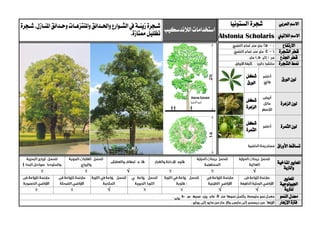 ‫العربي‬ ‫االسم‬‫ألستونيا‬ ‫شجرة‬
‫الالندسكيب‬‫استخدامات‬‫ية‬‫ي‬‫زين‬‫يجرة‬‫ي‬‫ش‬‫ي‬‫ي‬‫واحل‬‫يوارع‬‫ي‬‫الش‬‫يف‬‫يات‬‫ي‬‫واملنتزه‬‫دائق‬.‫يازل‬‫ي‬‫املن‬‫يدائق‬‫ي‬‫وح‬‫يجرة‬‫ي‬‫ش‬
‫ممتازة‬‫تظليل‬. ‫الالتيين‬ ‫االسم‬Alstonia Scholaris
‫االرتفاع‬
‫الشجرة‬ ‫قطر‬
‫اجلذع‬ ‫قطر‬
‫الشجرة‬ ‫منط‬
‫ل‬‫الورق‬ ‫ون‬
‫شكل‬
‫الورق‬
‫الزهرة‬ ‫لون‬
‫شكل‬
‫الزهرة‬
‫الثمرة‬ ‫لون‬
‫شكل‬
‫الثمرة‬
‫األوراق‬ ‫تساقط‬
‫ا‬‫ملعايري‬‫املناخية‬
‫والرتبة‬
√√
‫ا‬‫ملعايري‬
‫اجليولوجية‬
‫ل‬‫لرتبة‬√√√
‫النمو‬ ‫معدل‬
‫اإلزهار‬ ‫فرتة‬
 