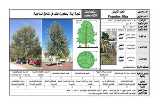 ‫العربي‬ ‫االسم‬‫األبيض‬‫احلور‬‫استخدامات‬
‫الالندسكيب‬.‫زينة‬‫شجرة‬.‫الساحلية‬‫املناطق‬‫يف‬‫زراعتها‬‫ميكن‬
‫الالتيين‬ ‫االسم‬Populus Alba
‫االرتفاع‬
‫الشجرة‬ ‫قطر‬
‫اجلذع‬ ‫قطر‬
‫الشجرة‬ ‫منط‬
‫الورق‬ ‫لون‬
‫شكل‬
‫الورق‬
‫الزهرة‬ ‫لون‬
‫شكل‬
‫الزهرة‬
‫الثمرة‬ ‫لون‬
‫شكل‬
‫الثمرة‬
‫األوراق‬ ‫تساقط‬
‫ا‬‫ملعايري‬‫املناخية‬
‫والرتبة‬
√√√
‫ا‬‫ملعايري‬
‫اجليولوجية‬
‫ل‬‫لرتبة‬√√√√
‫النمو‬ ‫معدل‬
‫اإلزهار‬ ‫فرتة‬
 