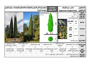 ‫العربي‬ ‫االسم‬‫السرو‬-‫املتوسط‬‫سرو‬‫استخدامات‬
‫الالندسكيب‬
‫ية‬‫ي‬‫زين‬‫يجرة‬‫ي‬‫ش‬‫وا‬‫يوارع‬‫ي‬‫الش‬‫يف‬‫يات‬‫ي‬‫واملنتزه‬‫يدائق‬‫ي‬‫واحل‬‫يات‬‫ي‬‫لطرق‬‫يجري‬‫ي‬‫ش‬ ‫يياج‬‫ي‬‫س‬،
.‫الرياح‬‫ومصدات‬ ‫الالتيين‬ ‫االسم‬Cupressus Sempervirens
‫االرتفاع‬
‫الشجرة‬ ‫قطر‬
‫اجلذع‬ ‫قطر‬
‫الشجرة‬ ‫منط‬
‫الورق‬ ‫لون‬
‫الورق‬ ‫شكل‬
‫الزهرة‬ ‫لون‬
‫شكل‬
‫الزهرة‬
‫الثمرة‬ ‫لون‬
‫شكل‬
‫الثمرة‬
‫األوراق‬ ‫تساقط‬
‫ا‬‫ملعايري‬‫املناخية‬
‫والرتبة‬
√√√√
‫ا‬‫ملعايري‬
‫اجليولوجية‬
‫ل‬‫لرتبة‬√√√√
‫النمو‬ ‫معدل‬
‫اإلزهار‬ ‫فرتة‬
 