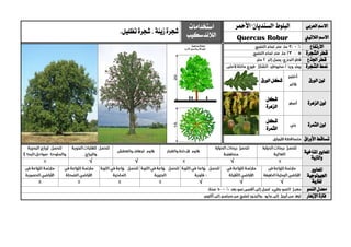 ‫اال‬‫العربي‬ ‫سم‬‫البلوط‬"‫"السنديان‬‫األمحر‬‫استخدامات‬
‫الالندسكيب‬‫زينة‬‫شجرة‬.‫تظليل‬‫شجرة‬ ،
‫الالتيين‬ ‫االسم‬Quercus Robur
‫االرتفاع‬
‫الشجرة‬ ‫قطر‬
‫اجلذع‬ ‫قطر‬
‫الشجرة‬ ‫منط‬
‫الورق‬ ‫لون‬‫الورق‬ ‫شكل‬
‫الزهرة‬ ‫لون‬
‫شكل‬
‫الزهرة‬
‫الثمرة‬ ‫لون‬
‫شكل‬
‫الثمرة‬
‫األوراق‬ ‫تساقط‬
‫ا‬‫ملعايري‬‫املناخية‬
‫والرتبة‬
√√√
‫ا‬‫ملعايري‬
‫اجليولوجية‬
‫ل‬‫لرتبة‬√√√
‫النمو‬ ‫معدل‬
‫اإلزهار‬ ‫فرتة‬
 