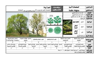 ‫العربي‬ ‫االسم‬‫األسود‬‫الصفصاف‬‫استخدامات‬
‫الالندسكيب‬
‫زينة‬‫شجرة‬.
‫الال‬ ‫االسم‬‫تيين‬Salix Nigra
‫االرتفاع‬
‫الشجرة‬ ‫قطر‬
‫اجلذع‬ ‫قطر‬
‫الشجرة‬ ‫منط‬
‫الورق‬ ‫لون‬‫الورق‬ ‫شكل‬
‫الزهرة‬ ‫لون‬
‫شكل‬
‫الزهرة‬
‫الثمرة‬ ‫لون‬
‫شكل‬
‫الثمرة‬
‫األوراق‬ ‫تساقط‬
‫ا‬‫ملعايري‬‫املناخية‬
‫والرتبة‬
√√√√
‫ا‬‫ملعايري‬
‫اجليولوجية‬
‫ل‬‫لرتبة‬√√√√√
‫النمو‬ ‫معدل‬
‫اإلزهار‬ ‫فرتة‬
 