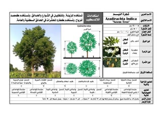 ‫ا‬‫العربي‬ ‫السم‬‫النيييييم‬ ‫شجرة‬‫استخدامات‬
‫الالندسكيب‬
‫تستخدم‬‫للزينية‬،‫و‬‫ل‬‫واحليدائق‬ ‫الشيوارع‬ ‫يف‬ ‫لتظلييل‬‫كمصيد‬ ‫وتسيتخدم‬ .
‫ك‬‫وتستخدم‬.‫للرياح‬‫طارد‬‫ل‬‫لحشرات‬.‫والعامة‬‫السكنية‬‫احلدائق‬‫يف‬ ‫الالتيين‬ ‫االسم‬Azadirachta Indica
"Neem Tree"
‫االرتفاع‬
‫الشجرة‬ ‫قطر‬
‫اجلذع‬ ‫قطر‬
‫الشجرة‬ ‫منط‬
‫الورق‬ ‫لون‬
‫شكل‬
‫الورق‬
‫الزهرة‬ ‫لون‬
‫شكل‬
‫الزهرة‬
‫الثمرة‬ ‫لون‬
‫شكل‬
‫الثمرة‬
‫األوراق‬ ‫تساقط‬
‫ا‬‫ملعاي‬‫ري‬‫املناخية‬
‫والرتبة‬
√√√
‫ا‬‫ملعايري‬
‫اجليولوجية‬
‫ل‬‫لرتبة‬√√
‫النمو‬ ‫معدل‬
‫اإلزهار‬ ‫فرتة‬
 