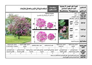 ‫العربي‬ ‫االسم‬
‫اجلمل‬ ‫خف‬ ‫شجرة‬‫األرجوانية‬
"‫البنفسجي‬ ‫األوركيد‬ ‫شجرة‬"
‫استخدامات‬
‫الالندسكيب‬‫واملنتزهات‬‫واحلدائق‬‫الشوارع‬‫يف‬ ‫للزينة‬‫تستخدم‬.
‫الالتيين‬ ‫االسم‬Bauhinia Purpurea
‫االرتفاع‬
‫الشجرة‬ ‫قطر‬
‫اجلذع‬ ‫قطر‬
‫الشجرة‬ ‫منط‬
‫الورق‬ ‫لون‬
‫شكل‬
‫الورق‬
‫الزهر‬ ‫لون‬‫ة‬
‫شكل‬
‫الزهرة‬
‫الثمرة‬ ‫لون‬
‫شكل‬
‫الثمرة‬
‫األوراق‬ ‫تساقط‬
‫ا‬‫ملعايري‬‫املناخية‬
‫والرتبة‬
√√√
‫ا‬‫ملعايري‬
‫اجليولوجية‬
‫ل‬‫لرتبة‬√√
‫النمو‬ ‫معدل‬
‫اإلزهار‬ ‫فرتة‬
 