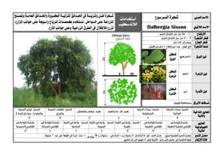 ‫العربي‬ ‫االسم‬‫شجرة‬‫السرسوع‬‫استخدامات‬
‫الالندسكيب‬
‫يجرة‬‫ي‬‫ش‬‫يل‬‫ي‬‫ظ‬‫و‬‫يدائ‬‫ي‬‫احل‬‫يف‬‫ية‬‫ي‬‫للزين‬‫ية‬‫ي‬‫العام‬‫يدائق‬‫ي‬‫واحل‬‫يبرية‬‫ي‬‫الك‬‫ية‬‫ي‬‫املنزلي‬‫ق‬‫يلح‬‫ي‬‫وتص‬
‫السواحل‬ ‫عل‬ ‫للزراعة‬.‫و‬ ‫للرياح‬ ‫كمصدات‬ ‫تستخدم‬‫املزارع‬ ‫جوانب‬ ‫عل‬ ‫أسيجة‬.
‫تزرع‬‫لإلظالل‬.‫الرتع‬ ‫جوانب‬ ‫وعلي‬ ‫الزراعية‬ ‫الطرق‬ ‫يف‬ ‫الالتيين‬ ‫االسم‬Dalbergia Sissoo
‫االرتفاع‬
‫الشجرة‬ ‫قطر‬
‫اجلذع‬ ‫قطر‬
‫الشجرة‬ ‫منط‬
‫الورق‬ ‫لون‬
‫شكل‬
‫الورق‬
‫الزهرة‬ ‫لون‬
‫شكل‬
‫الزهرة‬
‫الثمرة‬ ‫لون‬
‫شكل‬
‫الثمرة‬
‫األوراق‬ ‫تساقط‬
‫ا‬‫ملعايري‬‫املناخية‬
‫والرتبة‬
√√√√
‫ا‬‫ملعايري‬
‫اجليولوجية‬
‫ل‬‫لرتبة‬√√√√
‫النمو‬ ‫معدل‬
‫اإلزهار‬ ‫فرتة‬
 