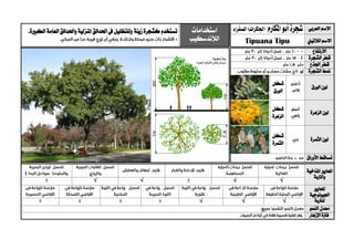 ‫العربي‬ ‫االسم‬‫شجرة‬‫أبو‬‫املكارم‬"‫الصفراء‬‫"اجلاكراندا‬‫استخدامات‬
‫الالندسكيب‬
‫ت‬‫ستخدم‬‫كشجرة‬‫زينة‬.‫الكبرية‬ ‫العامة‬ ‫واحلدائق‬ ‫املنزلية‬ ‫احلدائق‬ ‫يف‬ ‫وللتظليل‬
‫الالتيين‬ ‫االسم‬Tipuana Tipu
‫االرتفاع‬
‫الشجرة‬ ‫قطر‬
‫اجلذع‬ ‫قطر‬
‫الشجرة‬ ‫منط‬
‫الورق‬ ‫لون‬
‫شكل‬
‫الورق‬
‫الزهرة‬ ‫لون‬
‫شكل‬
‫الزهرة‬
‫الثمرة‬ ‫لون‬
‫شكل‬
‫الثمرة‬
‫األوراق‬ ‫تساقط‬
‫ا‬‫ملعايري‬‫املناخية‬
‫والرتبة‬
√√√√
‫ا‬‫ملعايري‬
‫اجليولوجية‬
‫ل‬‫لرتبة‬√√√
‫النمو‬ ‫معدل‬
‫اإلزهار‬ ‫فرتة‬
 