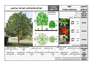 ‫العربي‬ ‫االسم‬‫املخيط‬‫استخدامات‬
‫الالندسكيب‬‫شجرة‬،‫زينة‬‫شجرة‬ ،‫والشوارع‬‫باحلدائق‬‫ظل‬.‫شجري‬ ‫سياج‬
‫الالتيين‬ ‫االسم‬Cordia sebestena
‫االرتفاع‬
‫ق‬‫الشجرة‬ ‫طر‬
‫اجلذع‬ ‫قطر‬
‫الشجرة‬ ‫منط‬
‫الورق‬ ‫لون‬
‫شكل‬
‫األوراق‬
‫الزهرة‬ ‫لون‬
‫شكل‬
‫الزهرة‬
‫الثمرة‬ ‫لون‬
‫شكل‬
‫الثمرة‬
‫األوراق‬ ‫تساقط‬
‫ا‬‫ملعايري‬‫املناخية‬
‫وا‬‫لرتبة‬√√√√
‫ا‬‫ملعايري‬
‫اجليولوجية‬
‫ل‬‫لرتبة‬√√√√
‫النمو‬ ‫معدل‬
‫اإلزهار‬ ‫فرتة‬
 