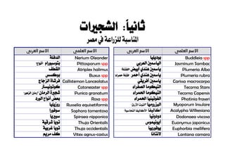 :ً‫ا‬‫ثاني‬‫الشجريات‬
‫للزراعة‬‫ملناسبة‬‫ا‬‫مصر‬‫يف‬
‫العلمي‬ ‫االسم‬‫العربي‬ ‫االسم‬‫العلمي‬ ‫االسم‬‫العربي‬ ‫االسم‬
Buddleia spp‫بوديليا‬Nerium Oleander‫الدفلة‬
Jasminum Sambac‫العربي‬ ‫اليامسني‬Pittosporum spp‫بتوسبورا‬‫م‬"‫"أنواع‬
Plumeria Alba‫أبيض‬ ‫هندي‬ ‫يامسني‬"‫"الفتنة‬Atriplex halimus‫القطف‬
Plumeria rubra‫أمحر‬ ‫هندي‬ ‫يامسني‬"‫محراء‬ ‫"فتنة‬Buxus spp‫بوكسس‬
Carissa macrocarpa‫أفريقي‬ ‫يامسني‬Callistemon Lanceolatus‫فرشا‬‫ة‬‫الزجاج‬
Tecoma Stans‫الصفراء‬ ‫التيكوما‬Cotoneaster spp‫كوتونيسرت‬
Tecoma Capensis‫احلمراء‬ ‫التيكوما‬Punica granatum‫الرمان‬ ‫شجرية‬"‫رمان‬‫الزهور‬"
Photinia fraseri‫احل‬ ‫الفوتينيا‬‫م‬‫راء‬Rosa spp‫الورد‬ ‫أنواع‬ ‫بعض‬
Myoporum Insulare‫الب‬‫ز‬‫روميا‬""‫األزرق‬ ‫التوت‬Russelia equisetiformis‫روزيليا‬
Acalypha Wilkesiana‫أ‬‫كاليفا‬‫"األكاليفا‬‫ُّحاس‬‫الن‬"‫ية‬Sophora tomentosa‫سوفورا‬
Dodonaea viscosa‫دودونيا‬Spiraea nipponica‫سبرييا‬
Euonymus japonicus‫أيونيم‬‫و‬‫س‬Thuja Orientalis‫تويا‬‫شرقية‬
Euphorbia mellifera‫يوفوربيا‬Thuja occidentalis‫تويا‬‫غربية‬
Lantana camara‫النتانا‬Vitex agnus-castus‫مريم‬ ‫كف‬
 