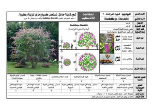‫العربي‬ ‫االسم‬‫الب‬‫و‬‫د‬‫ي‬‫ليا‬"‫الفراشات‬ ‫شجرة‬"‫استخدامات‬
‫الالندسكيب‬
‫شج‬‫ري‬‫زينة‬‫ة‬‫حدائق‬،‫وعطرية‬‫للزينة‬‫مزهر‬‫كسياج‬‫تستعمل‬.
 ‫الالتيين‬ ‫االسم‬Buddleja Davidii
‫االرتفاع‬
‫الشج‬ ‫قطر‬‫ري‬‫ة‬
‫اجلذع‬ ‫قطر‬
‫الشج‬ ‫منط‬‫ري‬‫ة‬
‫الورق‬ ‫لون‬
‫شكل‬
‫الورق‬
‫الزهرة‬ ‫لون‬‫شكل‬
‫الزهرة‬
‫الثمرة‬ ‫لون‬‫شكل‬
‫الثمرة‬
‫األوراق‬ ‫تساقط‬
‫ا‬‫ملعايري‬‫املناخية‬
‫والرتبة‬
√√√√√
‫ا‬‫ملعايري‬
‫اجليولوجية‬
‫ل‬‫لرتبة‬√√√√√
‫النمو‬ ‫معدل‬
‫اإلزهار‬ ‫فرتة‬
 