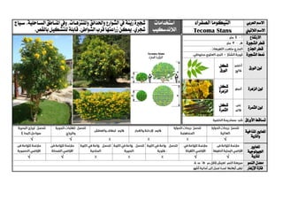‫ال‬ ‫االسم‬‫عربي‬‫التيكوما‬‫الصفراء‬‫استخدامات‬
‫الالندسكيب‬
‫شج‬‫ري‬‫زينة‬ ‫ة‬‫واملنتزهيات‬ ‫واحلدائق‬ ‫الشوارع‬ ‫يف‬،‫املنياطق‬ ‫ويف‬‫ال‬‫سياحلية‬.‫سيياج‬
.‫الشواطئ‬‫قرب‬‫زراعتها‬‫ميكن‬.‫شجري‬.‫بالقص‬‫للتشكيل‬ ‫قابلة‬ ‫الالتيين‬ ‫االسم‬Tecoma Stans
‫االرتفاع‬
‫الشج‬ ‫قطر‬‫ري‬‫ة‬
‫قط‬‫اجلذع‬ ‫ر‬
‫الشج‬ ‫منط‬‫ري‬‫ة‬
‫الورق‬ ‫لون‬‫شكل‬
‫الورق‬
‫الزهرة‬ ‫لون‬‫شكل‬
‫الزهرة‬
‫الثمرة‬ ‫لون‬‫شكل‬
‫الثمرة‬
‫األوراق‬ ‫تساقط‬
‫ا‬‫ملعايري‬‫املناخية‬
‫والرتبة‬
√√√
‫ا‬‫ملعايري‬
‫اجليولوجية‬
‫ل‬‫لرتبة‬√√√√
‫النمو‬ ‫معدل‬
‫اإلزهار‬ ‫فرتة‬
 