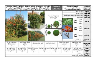 ‫العربي‬ ‫االسم‬‫التيكوما‬‫احلمراء‬‫استخدامات‬
‫الالندسكيب‬
‫شج‬‫ري‬‫زينة‬ ‫ة‬‫و‬ ‫شوارع‬‫حدائق‬‫واملناطق‬ ،‫ال‬‫ساحلية‬‫ميكن‬ .‫شجري‬ ‫سياج‬ ،‫منو‬‫ها‬‫علي‬
‫نباتات‬ ‫سيقان‬‫أ‬‫خرى‬‫وعل‬،،‫الصخور‬‫وال‬‫تعريش‬.‫ات‬.‫بالقص‬‫للتشكيل‬‫قابلة‬ ‫ال‬ ‫االسم‬‫التيين‬Tecoma Capensis
‫االرتفاع‬
‫الشج‬ ‫قطر‬‫ري‬‫ة‬
‫اجلذع‬ ‫قطر‬
‫الشج‬ ‫منط‬‫ري‬‫ة‬
‫الورق‬ ‫لون‬‫شكل‬
‫الورق‬
‫الزهرة‬ ‫لون‬‫شكل‬
‫الزهرة‬
‫الثمرة‬ ‫لون‬‫شكل‬
‫الثمرة‬
‫األوراق‬ ‫تساقط‬
‫ا‬‫ملعايري‬‫املناخية‬
‫والرتبة‬
√√√
‫ا‬‫ملعايري‬
‫اجليولوجية‬
‫ل‬‫لرتبة‬√√√√
‫النمو‬ ‫معدل‬
‫اإلزهار‬ ‫فرتة‬
 