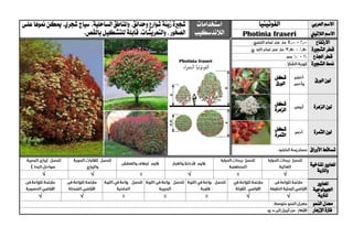 ‫العربي‬ ‫االسم‬‫الفوتينيا‬‫استخ‬‫دامات‬
‫الالندسكيب‬
‫شج‬‫ري‬‫زينة‬ ‫ة‬‫و‬ ‫شوارع‬‫حدائق‬‫واملناطق‬ ،‫ال‬‫ساحلية‬‫ميكن‬ .‫شجري‬ ‫سياج‬ ،‫منو‬‫ها‬‫علي‬
،‫الصخور‬‫وال‬‫تعريش‬.‫ات‬.‫بالقص‬‫للتشكيل‬ ‫قابلة‬ ‫الالتيين‬ ‫االسم‬Photinia fraseri
‫االرتفاع‬
‫الشج‬ ‫قطر‬‫ري‬‫ة‬
‫اجلذع‬ ‫قطر‬
‫الشج‬ ‫منط‬‫ري‬‫ة‬
‫الورق‬ ‫لون‬‫شكل‬
‫الورق‬
‫الزهرة‬ ‫لون‬‫شكل‬
‫الزهرة‬
‫الثمرة‬ ‫لون‬‫شكل‬
‫الثمرة‬
‫األوراق‬ ‫تساقط‬
‫ا‬‫ملعايري‬‫املناخية‬
‫والرتبة‬
√√√√
‫ا‬‫ملعايري‬
‫اجليولوجية‬
‫ل‬‫لرتبة‬√√√√
‫النمو‬ ‫معدل‬
‫اإلزهار‬ ‫فرتة‬
 