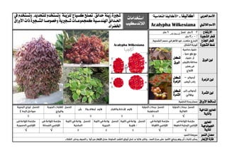 ‫العربي‬ ‫االسم‬‫أ‬‫كاليفا‬-"‫األكاليفا‬‫ُّحاس‬‫الن‬‫ية‬"‫استخدامات‬
‫الالندسكيب‬
‫شج‬‫ري‬‫زينة‬ ‫ة‬‫حدائق‬،‫وتستخدم‬ ‫للزينة‬ ‫كسياج‬ ‫تصلح‬‫ل‬‫لتحديد‬،‫يف‬ ‫وتستخدم‬
‫يا‬‫ي‬‫وخصوص‬‫يجريية‬‫ي‬‫ش‬ ‫يات‬‫ي‬‫كمجموع‬‫يية‬‫ي‬‫اهلندس‬‫يدائق‬‫ي‬‫احل‬‫يجرية‬‫ي‬‫الش‬‫األوراق‬‫ذات‬
‫اخلضراء‬. ‫الالتيين‬ ‫االسم‬Acalypha Wilkesiana
‫االرتفاع‬
‫الشج‬ ‫قطر‬‫ري‬‫ة‬
‫اجلذع‬ ‫قطر‬
‫الشج‬ ‫منط‬‫ري‬‫ة‬
‫الورق‬ ‫لون‬
‫شكل‬
‫الورق‬
‫الزهرة‬ ‫لون‬‫شكل‬
‫الزهرة‬
‫الثمرة‬ ‫لون‬‫شكل‬
‫الثمرة‬
‫األوراق‬ ‫تساقط‬
‫ا‬‫ملعايري‬‫املناخية‬
‫والرتبة‬
√
‫ا‬‫ملعايري‬
‫اجليولوجية‬
‫ل‬‫لرتبة‬√√√√
‫النمو‬ ‫معدل‬
‫اإلزهار‬ ‫فرتة‬
 