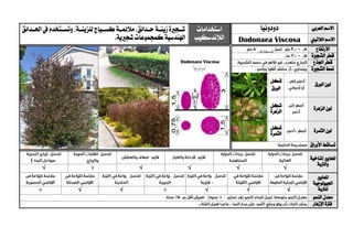 ‫العربي‬ ‫االسم‬‫دودونيا‬‫استخدامات‬
‫الالندسكيب‬
‫شييج‬‫ري‬‫زينيية‬‫ة‬‫حييدائق‬‫مالئميية‬،‫للزينيية‬‫كسييياج‬،‫احلييدائق‬‫يف‬‫وتسييتخدم‬
‫شجريية‬ ‫كمجموعات‬‫اهلندسية‬. ‫الالتيين‬ ‫االسم‬iscosaVDodonaea
‫االرتفاع‬
‫الشج‬ ‫قطر‬‫ري‬‫ة‬
‫اجلذع‬ ‫قطر‬
‫الشج‬ ‫منط‬‫ري‬‫ة‬
‫الورق‬ ‫لون‬
‫شكل‬
‫الورق‬
‫الزهرة‬ ‫لون‬‫شكل‬
‫الزهرة‬
‫الثمرة‬ ‫لون‬‫شكل‬
‫الثمرة‬
‫األوراق‬ ‫تساقط‬
‫ا‬‫ملعايري‬‫املناخية‬
‫والرتبة‬
√√√√√
‫ا‬‫ملعايري‬
‫اجلي‬‫ولوجية‬
‫ل‬‫لرتبة‬√√√√√
‫النمو‬ ‫معدل‬
‫اإلزهار‬ ‫فرتة‬
 