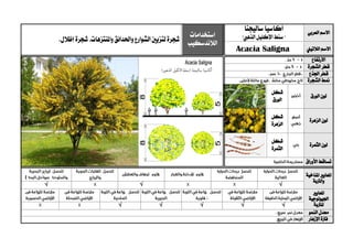 ‫العربي‬ ‫االسم‬
‫سالي‬‫أكاسيا‬‫ج‬‫نا‬
"‫الذهيب‬ ‫اإلكليل‬ ‫سنط‬"‫استخدامات‬
‫الالندسكيب‬‫شجرة‬‫واملنتزهات‬‫واحلدائق‬‫الشوارع‬‫لتزيني‬‫إظالل‬‫شجرة‬..
‫الالتيين‬ ‫االسم‬Acacia Saligna
‫االرتفاع‬
‫الشجرة‬ ‫قطر‬
‫اجلذع‬ ‫قطر‬
‫الشجرة‬ ‫منط‬
‫الورق‬ ‫لون‬
‫شكل‬
‫الورق‬
‫الزهرة‬ ‫لون‬
‫شكل‬
‫الزهرة‬
‫الثمرة‬ ‫لون‬
‫شكل‬
‫الثمرة‬
‫األوراق‬ ‫تساقط‬
‫ا‬‫ملعايري‬‫املناخية‬
‫والرتبة‬
√√√
‫ا‬‫ملعايري‬
‫اجليولوجية‬
‫ل‬‫لرتبة‬√√√√√
‫النمو‬ ‫معدل‬
‫اإلزهار‬ ‫فرتة‬
 