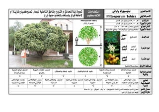 ‫العربي‬ ‫االسم‬‫بت‬‫و‬‫سبور‬‫ا‬‫ياباني‬ ‫م‬‫استخدامات‬
‫الالندسكيب‬
‫شج‬‫ري‬‫زينة‬‫ة‬‫لل‬‫حدائق‬،‫للبحار‬‫الشاطئية‬‫ملناطق‬‫ا‬‫و‬‫الشوارع‬‫أو‬‫للزينية‬‫كسياج‬‫تصلح‬‫أو‬
،‫فراغ‬‫إلحاطة‬‫لتحديد‬‫وتستخدم‬،‫فراغ‬‫حدود‬ ‫الالتيين‬ ‫االسم‬obiraPittosporum T
‫االرتفاع‬
‫الشج‬ ‫قطر‬‫ري‬‫ة‬
‫اجلذع‬ ‫قطر‬
‫الشج‬ ‫منط‬‫ري‬‫ة‬
‫الورق‬ ‫لون‬
‫شكل‬
‫الورق‬
‫الزهرة‬ ‫لون‬‫شكل‬
‫الزهرة‬
‫الثمرة‬ ‫لون‬‫شكل‬
‫الثمرة‬
‫األوراق‬ ‫تساقط‬
‫ا‬‫ملعايري‬‫املناخية‬
‫والرتبة‬
√√√√√
‫ا‬‫ملعايري‬
‫اجليولوجية‬
‫ل‬‫لرتبة‬√√√√√
‫النمو‬ ‫معدل‬
‫اإلزهار‬ ‫فرتة‬
 