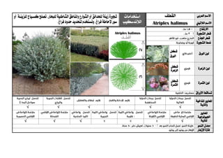 ‫العربي‬ ‫االسم‬‫القطف‬‫استخدامات‬
‫الالندسكيب‬
‫شج‬‫ري‬‫زينة‬‫ة‬‫لل‬‫حدائق‬،‫للبحار‬‫الشاطئية‬‫ملناطق‬‫ا‬‫و‬‫الشوارع‬‫أو‬‫للزينية‬‫كسيياج‬‫تصلح‬‫أو‬
‫سور‬،‫فراغ‬‫إلحاطة‬‫لتحديد‬‫وتستخدم‬،‫فراغ‬‫حدود‬ ‫الالتيين‬ ‫االسم‬Atriplex halimus
‫االرتفاع‬
‫الشج‬ ‫قطر‬‫ري‬‫ة‬
‫اجلذع‬ ‫قطر‬
‫الشج‬ ‫منط‬‫ري‬‫ة‬
‫الورق‬ ‫لون‬
‫شكل‬
‫الورق‬
‫الزهرة‬ ‫لون‬‫شكل‬
‫الزهرة‬
‫الثمرة‬ ‫لون‬‫شكل‬
‫الثمرة‬
‫األوراق‬ ‫تساقط‬
‫ا‬‫ملعايري‬‫املناخية‬
‫والرتبة‬
√√√√√
‫ا‬‫ملعايري‬
‫اجليولوجية‬
‫ل‬‫لرتبة‬√√√√
‫النمو‬ ‫معدل‬
‫اإلزهار‬ ‫فرتة‬
 