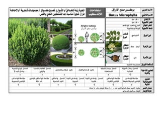 ‫العربي‬ ‫االسم‬.‫األوراق‬ ‫صغري‬‫بوكسس‬‫استخدامات‬
‫الالندسكيب‬
‫شج‬‫ري‬‫زينة‬‫ة‬‫لل‬‫حيدائق‬‫الشيوارع‬‫أو‬،‫كسيياج‬‫تصيلح‬‫شيجرية‬‫جمموعيات‬‫أو‬‫إلحاطية‬‫أو‬
‫فراغ‬،‫شج‬‫ري‬‫ة‬‫مناسبة‬‫جدا‬.‫بالقص‬‫النحيت‬‫للتشكيل‬ ‫الالتيين‬ ‫االسم‬icrophyllaMBuxus
‫االرتفاع‬
‫الشج‬ ‫قطر‬‫ري‬‫ة‬
‫اجلذع‬ ‫قطر‬
‫الشج‬ ‫منط‬‫ري‬‫ة‬
‫الورق‬ ‫لون‬
‫شكل‬
‫الورق‬
‫الزهرة‬ ‫لون‬‫شكل‬
‫ا‬‫لزهرة‬
‫الثمرة‬ ‫لون‬‫شكل‬
‫الثمرة‬
‫األوراق‬ ‫تساقط‬
‫ا‬‫ملعايري‬‫املناخية‬
‫والرتبة‬
√√
‫ا‬‫ملعايري‬
‫اجليولوجية‬
‫ل‬‫لرتبة‬√√√√√√
‫النمو‬ ‫معدل‬
‫اإلزهار‬ ‫فرتة‬
 