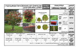 ‫العربي‬ ‫االسم‬‫الزجاج‬ ‫فرشاة‬‫ات‬‫استخدامات‬
‫الالندسكيب‬
‫شج‬‫ري‬‫زينة‬‫ة‬‫لل‬‫حدائق‬‫الشوارع‬‫أو‬‫الساحلية‬‫للمناطق‬‫وتصلح‬،‫للزينية‬‫كسيياج‬‫تصيلح‬‫أو‬
،‫فراغ‬‫إلحاطة‬‫لتحديد‬‫وتستخدم‬‫فراغ‬‫حدود‬. ‫الالتيين‬ ‫االسم‬iminalisVCallistemon
‫االرتفاع‬
‫الشج‬ ‫قطر‬‫ري‬‫ة‬
‫اجلذع‬ ‫قطر‬
‫الشج‬ ‫منط‬‫ري‬‫ة‬
‫الورق‬ ‫لون‬
‫شكل‬
‫الورق‬
‫الزهرة‬ ‫لون‬‫شكل‬
‫الز‬‫هرة‬
‫الثمرة‬ ‫لون‬‫شكل‬
‫الثمرة‬
‫األوراق‬ ‫تساقط‬
‫ا‬‫ملعايري‬‫املناخية‬
‫والرتبة‬
√√√√
‫ا‬‫ملعايري‬
‫اجليولوجية‬
‫ل‬‫لرتبة‬√√√√
‫النمو‬ ‫معدل‬
‫اإلزهار‬ ‫فرتة‬
 