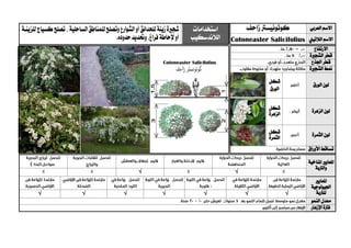 ‫العربي‬ ‫االسم‬‫كوتونيسرت‬‫زاحف‬‫استخدامات‬
‫الالندسكيب‬
‫شج‬‫ري‬‫زينة‬‫ة‬‫لل‬‫حدائق‬‫الشوارع‬‫أو‬‫الساحلية‬‫للمناطق‬‫وتصلح‬،‫للزينية‬‫كسياج‬‫تصلح‬
‫و‬،‫فراغ‬‫إلحاطة‬‫أو‬‫حتديد‬.‫حدوده‬ ‫الالتيين‬ ‫االسم‬SalicifoliusCotoneaster
‫االرتفاع‬
‫الشج‬ ‫قطر‬‫ري‬‫ة‬
‫اجلذع‬ ‫قطر‬
‫الشج‬ ‫منط‬‫ري‬‫ة‬
‫الورق‬ ‫لون‬
‫شكل‬
‫الورق‬
‫الزهرة‬ ‫لون‬‫شكل‬
‫الزهرة‬
‫لو‬‫الثمرة‬ ‫ن‬‫شكل‬
‫الثمرة‬
‫األوراق‬ ‫تساقط‬
‫ا‬‫ملعايري‬‫املناخية‬
‫والرتبة‬
√√
‫ا‬‫ملعايري‬
‫اجليولوجية‬
‫ل‬‫لرتبة‬√√√√√√√
‫النمو‬ ‫معدل‬
‫اإلزهار‬ ‫فرتة‬
 