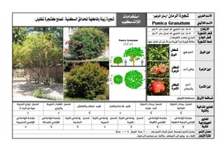 ‫العربي‬ ‫االسم‬‫الرمان‬ ‫شجرية‬"‫رمان‬‫الزهور‬"‫استخدامات‬
‫الالندسكيب‬‫شج‬‫ري‬‫زينة‬‫ة‬‫لل‬‫وفاكهة‬‫حدا‬‫ئق‬،‫السكنية‬‫تصلح‬.‫تظليل‬‫كشجرة‬
‫الالتيين‬ ‫االسم‬ranatumGPunica
‫االرتفاع‬
‫الشج‬ ‫قطر‬‫ري‬‫ة‬
‫اجلذع‬ ‫قطر‬
‫الشج‬ ‫منط‬‫ري‬‫ة‬
‫الورق‬ ‫لون‬
‫شكل‬
‫الورق‬
‫الزهرة‬ ‫لون‬‫شكل‬
‫الزهرة‬
‫الثمرة‬ ‫لون‬‫شكل‬
‫الثمرة‬
‫األوراق‬ ‫تساقط‬
‫ا‬‫ملعايري‬‫املناخية‬
‫والرتبة‬
√√√
‫ا‬‫ملعايري‬
‫اجليولوجية‬
‫ل‬‫لرتبة‬√√√√√
‫النمو‬ ‫معدل‬
‫اإلزهار‬ ‫فرتة‬
 