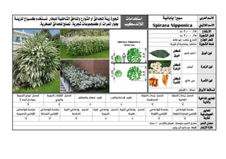 ‫العربي‬ ‫االسم‬‫سبريا‬‫يابانية‬‫استخدامات‬
‫الالندسكيب‬
‫شج‬‫ري‬‫زينة‬‫ة‬‫لل‬‫حدائق‬،‫للبحار‬‫الشاطئية‬‫ملناطق‬‫ا‬‫و‬‫الشوارع‬‫أو‬‫تسيتخدم‬‫للزينية‬‫كسيياج‬
،‫شجرية‬‫كمجموعات‬‫ملمرات،أو‬‫ا‬‫جبوار‬‫تصلح‬‫الصخرية‬‫للحدائق‬. ‫الالتيين‬ ‫االسم‬ipponicaNSpiraea
‫االرتفاع‬
‫الشج‬ ‫قطر‬‫ري‬‫ة‬
‫اجلذع‬ ‫قطر‬
‫الشج‬ ‫منط‬‫ري‬‫ة‬
‫الورق‬ ‫لون‬
‫شكل‬
‫الورق‬
‫الزهرة‬ ‫لون‬‫شكل‬
‫الزهرة‬
‫الثمرة‬ ‫لون‬‫شكل‬
‫الثمرة‬
‫األوراق‬ ‫تساقط‬
‫ا‬‫ملعايري‬‫املناخية‬
‫والرتبة‬
√√√√
‫ا‬‫ملعايري‬
‫اجليولوجية‬
‫ل‬‫لرتبة‬√√√√√
‫النمو‬ ‫معدل‬
‫اإلزهار‬ ‫فرتة‬
 