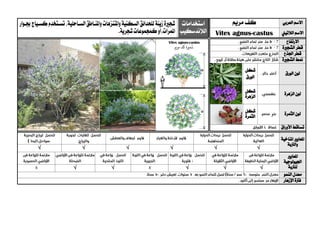 ‫العربي‬ ‫االسم‬‫مريم‬ ‫كف‬‫استخدامات‬
‫الالندسكيب‬
‫شج‬‫ري‬‫زينة‬‫ة‬‫لل‬‫حدائق‬‫السي‬‫ملنياطق‬‫ا‬‫و‬‫ملتنزهات‬‫ا‬‫و‬‫السكنية‬‫احلية‬،‫تسيتخدم‬‫كسيياج‬‫جبيوار‬
.‫شجرية‬‫كمجموعات‬‫ملمرات،أو‬‫ا‬ ‫الالتيين‬ ‫االسم‬castus-Vitex agnus
‫االرتفاع‬
‫الشج‬ ‫قطر‬‫ري‬‫ة‬
‫اجلذع‬ ‫قطر‬
‫الشج‬ ‫منط‬‫ري‬‫ة‬
‫الورق‬ ‫لون‬
‫شكل‬
‫الورق‬
‫الزهرة‬ ‫لون‬‫شكل‬
‫الزهرة‬
‫الثمرة‬ ‫لون‬‫شكل‬
‫الثمرة‬
‫األوراق‬ ‫تساقط‬
‫ا‬‫ملعايري‬‫املناخية‬
‫والرتبة‬
√√√√√√
‫ا‬‫ملعايري‬
‫اجليولوجية‬
‫ل‬‫لرتبة‬√√√√√
‫النمو‬ ‫معدل‬
‫اإلزهار‬ ‫فرتة‬
 