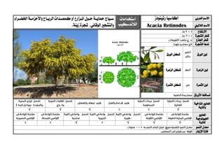 ‫العربي‬ ‫االسم‬‫رتينودز‬‫أكاسيا‬‫استخدامات‬
‫الالندسكيب‬
‫ية‬‫ي‬‫محاي‬‫يياج‬‫ي‬‫س‬‫ي‬‫ي‬‫ح‬‫يراء‬‫ي‬‫اخلض‬‫ية‬‫ي‬‫واألحزم‬‫ياح‬‫ي‬‫الري‬‫يدات‬‫ي‬‫كمص‬‫أو‬‫يزارع‬‫ي‬‫امل‬‫ول‬
‫الوقائي‬‫والتشجري‬.‫زينة‬‫شجرة‬ . ‫الالتيين‬ ‫االسم‬Acacia Retinodes
‫االرتفاع‬
‫الشجرة‬ ‫قطر‬
‫اجلذع‬ ‫قطر‬
‫الشجرة‬ ‫منط‬
‫الورق‬ ‫لون‬‫ال‬ ‫شكل‬‫ورق‬
‫الزهرة‬ ‫لون‬‫الزهرة‬ ‫شكل‬
‫الثمرة‬ ‫لون‬‫الثمرة‬ ‫شكل‬
‫األوراق‬ ‫تساقط‬
‫ا‬‫ملعايري‬‫املناخية‬
‫والرتبة‬
√√√√
‫ا‬‫ملعايري‬
‫اجليولوجية‬
‫ل‬‫لرتبة‬√√√√
‫النمو‬ ‫معدل‬
‫اإلزهار‬ ‫فرتة‬
 