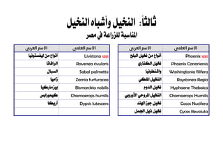 :ً‫ا‬‫ثالث‬‫النخيل‬‫وأشباه‬‫النخيل‬
‫للزراعة‬‫ملناسبة‬‫ا‬‫مصر‬‫يف‬
‫العلمي‬ ‫االسم‬‫العربي‬ ‫االسم‬‫العلمي‬ ‫االسم‬‫العربي‬ ‫االسم‬
Phoenix spp‫من‬ ‫أنواع‬‫البلح‬ ‫خنيل‬Livistona spp‫من‬ ‫أنواع‬‫ليفستون‬‫يا‬
Phoenix Canariensis‫الكناري‬ ‫خنيل‬Ravenea rivularis‫الرافانا‬
Washingtonia filifera‫واشن‬‫ط‬‫ونيا‬Sabal palmetto‫السبال‬
Roystonea Regia‫ال‬‫نخيل‬‫امللكي‬Zamia furfuracea‫زاميا‬
Hyphaene Thebaica‫الدوم‬ ‫خنيل‬Bismarckia nobilis‫بيزماركيا‬
Chamaerops Humilis‫املروحي‬ ‫النخيل‬‫األوروبي‬Chamaerops humilis‫كيمورابس‬
Cocos Nucifera‫اهلند‬ ‫جوز‬ ‫خنيل‬Dypsis lutescens‫أريكا‬
Cycas Revoluta‫اجلمل‬ ‫ذيل‬ ‫خنيل‬
 