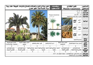 ‫العربي‬ ‫االسم‬‫خنيل‬‫الكناري‬‫استخدا‬‫مات‬
‫الالندسكيب‬
‫خنيل‬‫زينة‬‫واملنتزهات‬ ‫واحلدائق‬‫والطرقات‬‫الشوارع‬‫يف‬،‫حتويطة‬‫بيئة‬،‫طعام‬،
.‫حضري‬‫مظهر‬،‫تلوث‬ ‫مقاومة‬،‫برية‬ ‫الالتيين‬ ‫االسم‬Phoenix Canariensis
‫االرتفاع‬
‫قطر‬‫النبات‬
‫اجلذع‬ ‫قطر‬
‫منط‬‫النبات‬
‫الورق‬ ‫لون‬‫شكل‬
‫الورق‬
‫الزهرة‬ ‫لون‬‫شكل‬
‫الزهرة‬
‫الثمرة‬ ‫لون‬‫شكل‬
‫الثمرة‬
‫تساقط‬
‫األوراق‬
‫ا‬‫ملعايري‬
‫املناخية‬
‫والرتبة‬√√√√
‫ا‬‫ملعايري‬
‫اجليولوجية‬
‫ل‬‫لرتبة‬√√√√
‫النمو‬ ‫معدل‬
‫اإلزهار‬ ‫فرتة‬
 