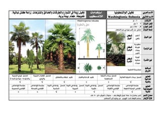 ‫العربي‬ ‫االسم‬‫الواشنطونيا‬ ‫خنيل‬‫استخدامات‬
‫الالندسكيب‬
‫خنيل‬‫زينة‬‫واملنتزهات‬ ‫واحلدائق‬‫والطرقات‬‫الشوارع‬‫يف‬،‫نباتية‬‫كتل‬‫زراعة‬،
‫حتويطة‬،.‫برية‬‫بيئة‬،‫طعام‬ ‫الالتيين‬ ‫االسم‬Washingtonia Robusta
‫االرتفاع‬
‫قطر‬‫النبات‬
‫اجلذع‬ ‫قطر‬
‫منط‬‫النبات‬
‫الورق‬ ‫لون‬‫شكل‬
‫الورق‬
‫الزهرة‬ ‫لون‬‫شكل‬
‫الزهرة‬
‫الثمرة‬ ‫لون‬‫شكل‬
‫الثمرة‬
‫تساقط‬
‫األوراق‬
‫ا‬‫ملعايري‬
‫امل‬‫ناخية‬
‫والرتبة‬√√√√
‫ا‬‫ملعايري‬
‫اجليولوجية‬
‫ل‬‫لرتبة‬√√√√
‫النمو‬ ‫معدل‬
‫اإلزهار‬ ‫فرتة‬
 