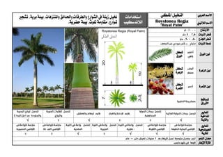 ‫العربي‬ ‫االسم‬‫ال‬‫نخيل‬‫امللكي‬‫استخدامات‬
‫الالندسكيب‬
‫خنيل‬‫زينة‬‫واملنتزهات‬ ‫واحلدائق‬‫والطرقات‬‫الشوارع‬‫يف‬‫تشجري‬،‫برية‬‫بيئة‬،
‫حضر‬‫بيئة‬،‫تلوث‬‫مقاومة‬،‫شوارع‬.‫ية‬ ‫الالتيين‬ ‫االسم‬Roystonea Regia
"Royal Palm"
‫االرتفاع‬
‫قطر‬‫النبات‬
‫اجلذع‬ ‫قطر‬
‫منط‬‫النبات‬
‫الورق‬ ‫لون‬‫شكل‬
‫الورق‬
‫الزهرة‬ ‫لون‬‫شكل‬
‫الزهرة‬
‫الثمرة‬ ‫لون‬‫شكل‬
‫الثمرة‬
‫تساقط‬
‫األوراق‬
‫ا‬‫ملعايري‬
‫املناخية‬
‫والرتبة‬√√√
‫ا‬‫ملعايري‬
‫اجليولوجية‬
‫ل‬‫لرتبة‬√√√√
‫النمو‬ ‫معدل‬
‫اإلزهار‬ ‫فرتة‬
 