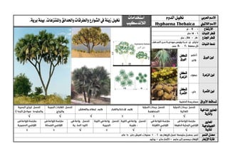 ‫العربي‬ ‫االسم‬‫خنيل‬‫الدوم‬‫استخدامات‬
‫الالندسكيب‬‫خنيل‬‫زينة‬‫واملنتزه‬ ‫واحلدائق‬‫والطرقات‬‫الشوارع‬‫يف‬‫ات‬.‫برية‬‫بيئة‬،
‫الالتيين‬ ‫االسم‬Hyphaena Thebaica
‫االرتفاع‬
‫قطر‬‫النبات‬
‫اجلذع‬ ‫قطر‬
‫منط‬‫النبات‬
‫الورق‬ ‫لون‬‫شكل‬
‫الورق‬
‫الزهرة‬ ‫لون‬‫شكل‬
‫الزهرة‬
‫الثمرة‬ ‫لون‬‫شكل‬
‫الثمرة‬
‫األوراق‬ ‫تساقط‬
‫ا‬‫ملعايري‬‫املناخية‬
‫والرتبة‬
√√√√
‫ا‬‫ملعايري‬
‫اجليولوجية‬
‫ل‬‫لرتبة‬√√√√
‫النمو‬ ‫معدل‬
‫اإلزهار‬ ‫فرتة‬
 