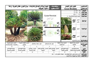 ‫العربي‬ ‫االسم‬‫خنيل‬‫اجلمل‬ ‫ذيل‬‫استخدامات‬
‫الالندسك‬‫يب‬
‫شج‬‫ري‬‫زينة‬‫ة‬‫واملنتزهات‬‫احلدائق‬‫يف‬‫زراعة‬،‫شجرية‬‫كتل‬،‫شجري‬‫سياج‬،
.‫حتويطة‬،‫داخلية‬ ‫الالتيين‬ ‫االسم‬Cycas Revoluta
‫االرتفاع‬
‫قطر‬‫النبات‬
‫اجلذع‬ ‫قطر‬
‫منط‬‫النبات‬
‫ال‬ ‫لون‬‫ورق‬‫شكل‬
‫الورق‬
‫الزهرة‬ ‫لون‬‫شكل‬
‫الزهرة‬
‫الثمرة‬ ‫لون‬‫شكل‬
‫الثمرة‬
‫األوراق‬ ‫تساقط‬
‫ا‬‫ملعايري‬‫املناخية‬
‫والرتبة‬
√√√
‫ا‬‫ملعايري‬
‫اجليولوجية‬
‫ل‬‫لرتبة‬√√√
‫النمو‬ ‫معدل‬
‫اإلزهار‬ ‫فرتة‬
 