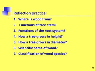 Wood Science Parts of the Tree Stem .ppt