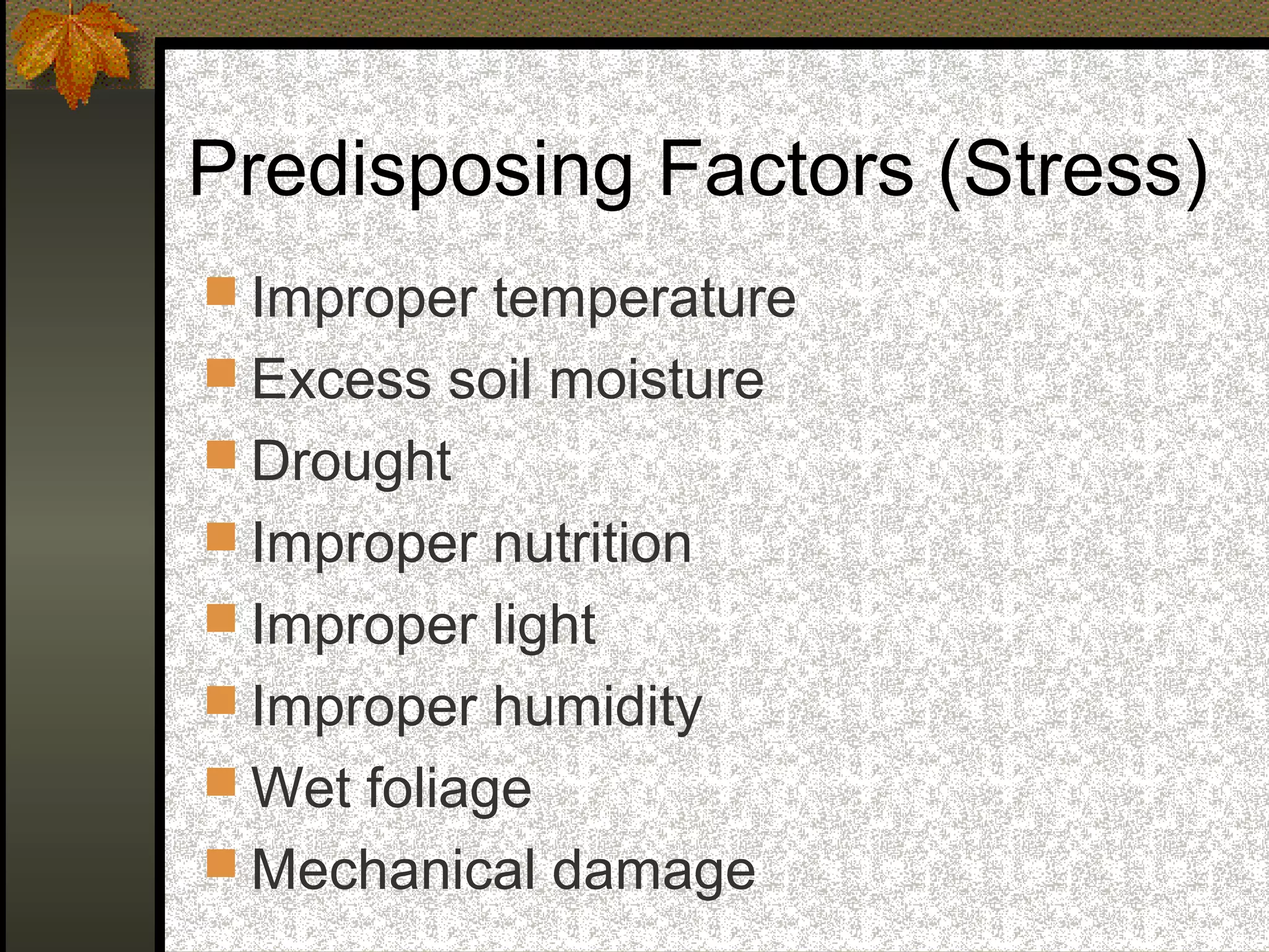 Predisposing Factors (Stress)
 Improper temperature
 Excess soil moisture
 Drought
 Improper nutrition
 Improper light
 Improper humidity
 Wet foliage
 Mechanical damage

 