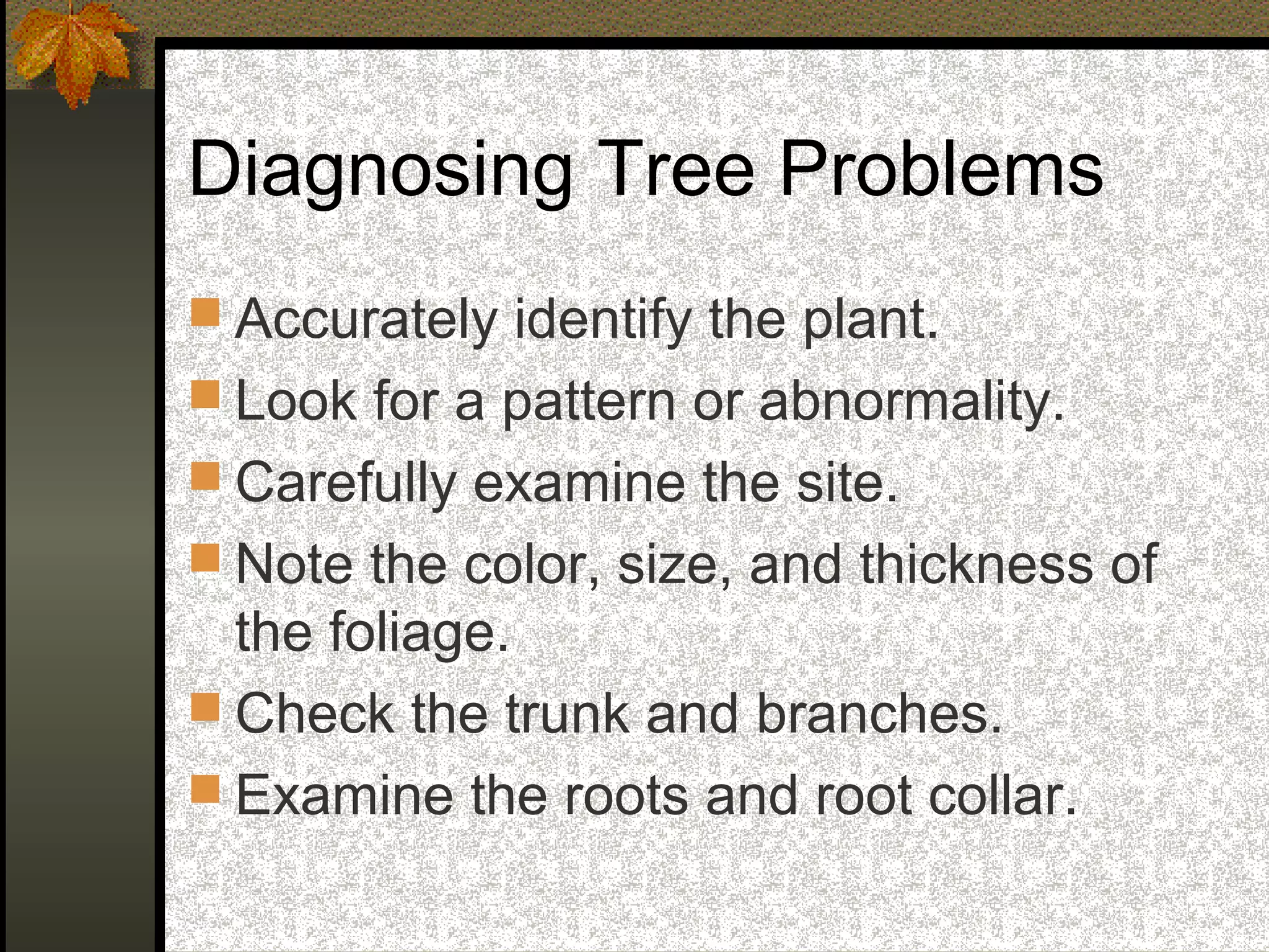 Diagnosing Tree Problems
 Accurately identify the plant.
 Look for a pattern or abnormality.
 Carefully examine the site.
 Note the color, size, and thickness of

the foliage.
 Check the trunk and branches.
 Examine the roots and root collar.

 