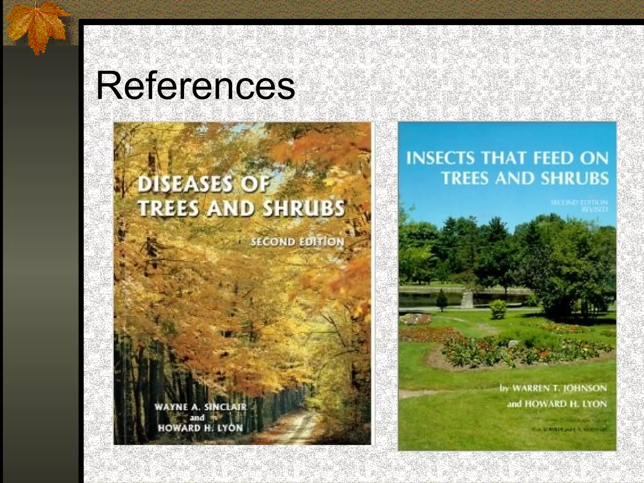 References

 
