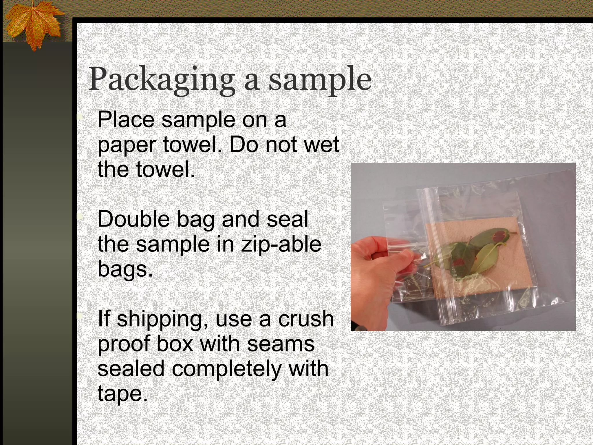 Packaging a sample
 Place sample on a

paper towel. Do not wet
the towel.

 Double bag and seal

the sample in zip-able
bags.

 If shipping, use a crush

proof box with seams
sealed completely with
tape.

 