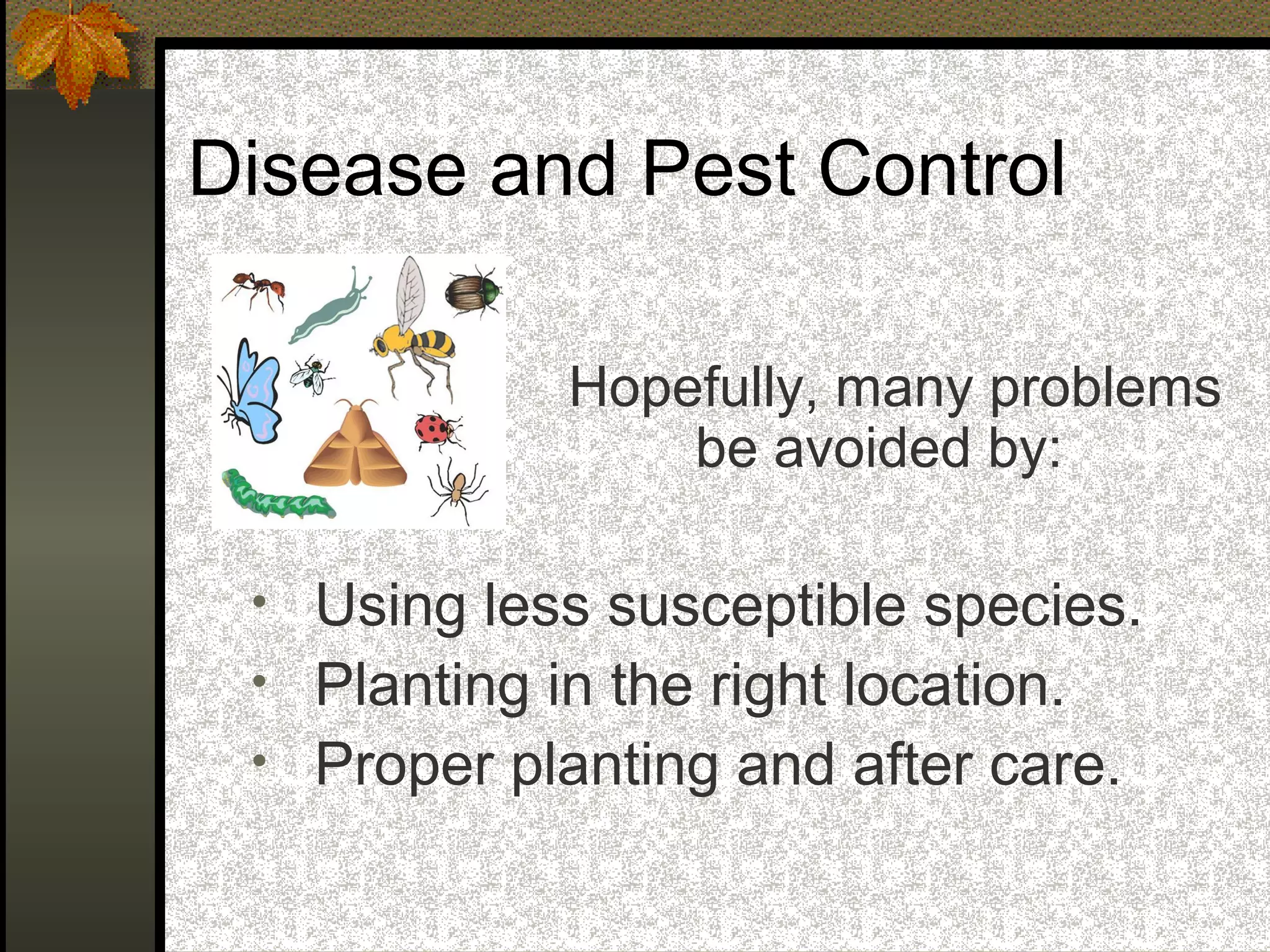 Disease and Pest Control

can
•
•
•

Hopefully, many problems
be avoided by:

Using less susceptible species.
Planting in the right location.
Proper planting and after care.

 