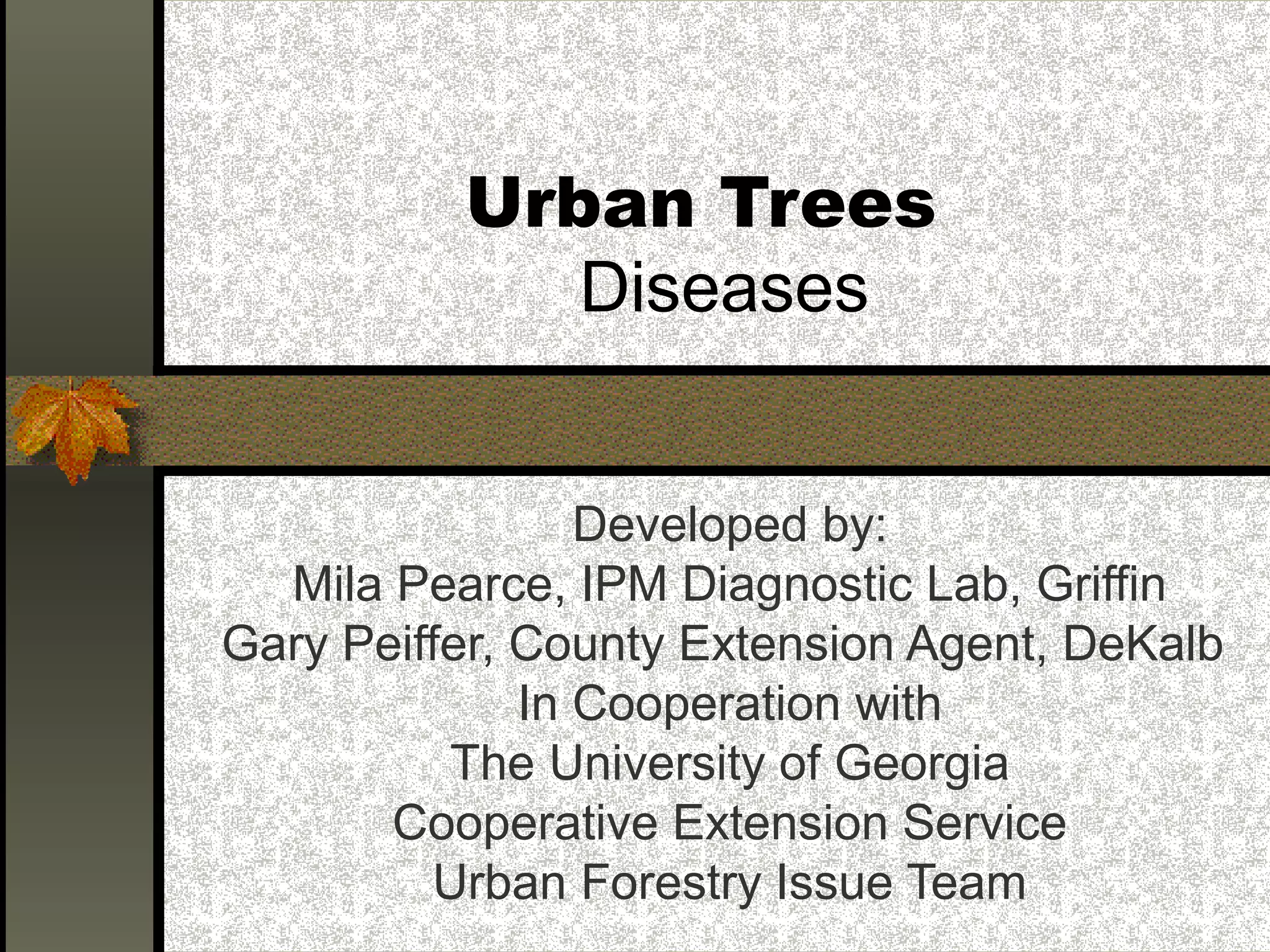 Urban Trees
Diseases
Developed by:
Mila Pearce, IPM Diagnostic Lab, Griffin
Gary Peiffer, County Extension Agent, DeKalb
In Cooperation with
The University of Georgia
Cooperative Extension Service
Urban Forestry Issue Team

 